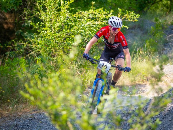 Mon analyse d'un combat poids lourds