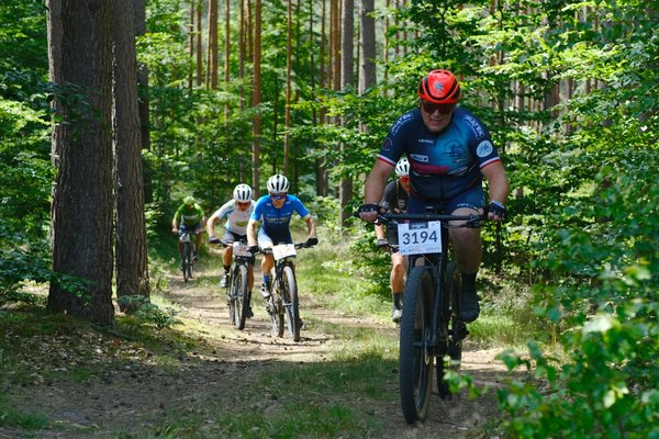 Étude sociologique des supporters de l'équipe de France